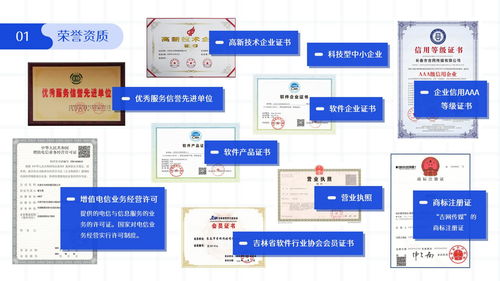 2026年初，如何甄選吉林省頂尖的軟件開發(fā)與技術(shù)服務(wù)公司